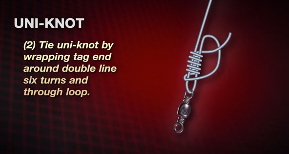 The uni knot is dependable when used on braid, mono or fluorocarbon fishing  lines. - Mississippi Sportsman